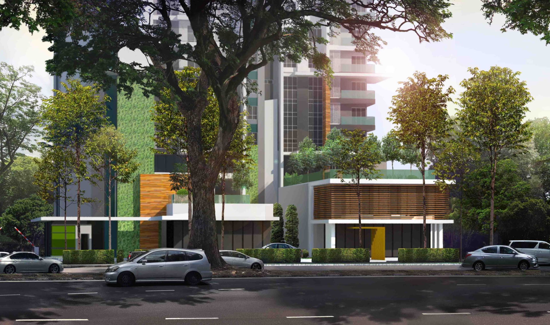 Portfolio image